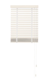 Basswood Retro 50mm, Schelpwit